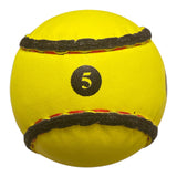 Cleere Sports Sliotar
